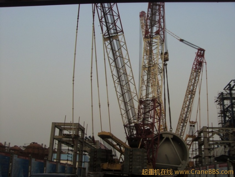 S73F3438_conew1.JPG