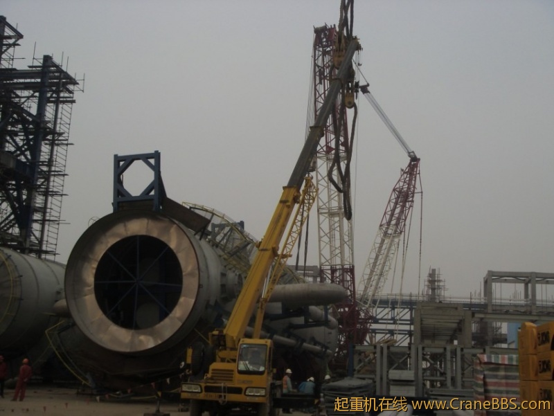 S73F3446_conew1.JPG