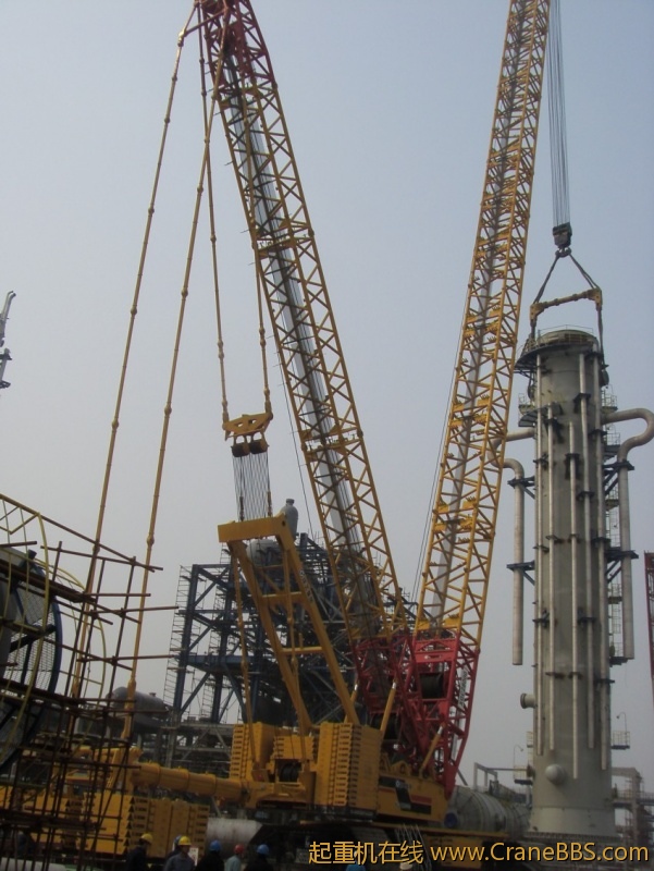 S73F3488_conew1.JPG