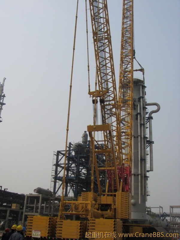 S73F3493_conew1.JPG