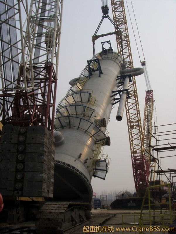 S73F3475_conew1.JPG