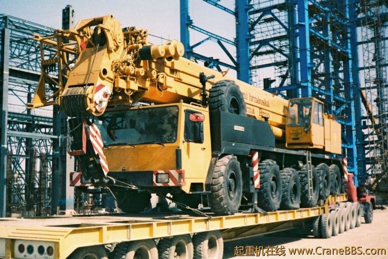 LLTM1160_PBSh.jpg
