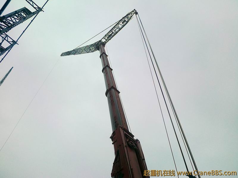 20120313787.jpg
