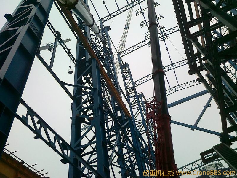 20120313796.jpg