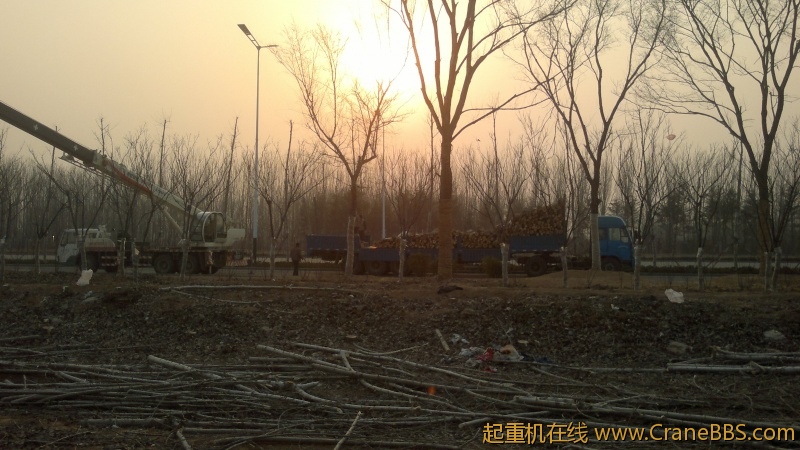 20120313084.jpg