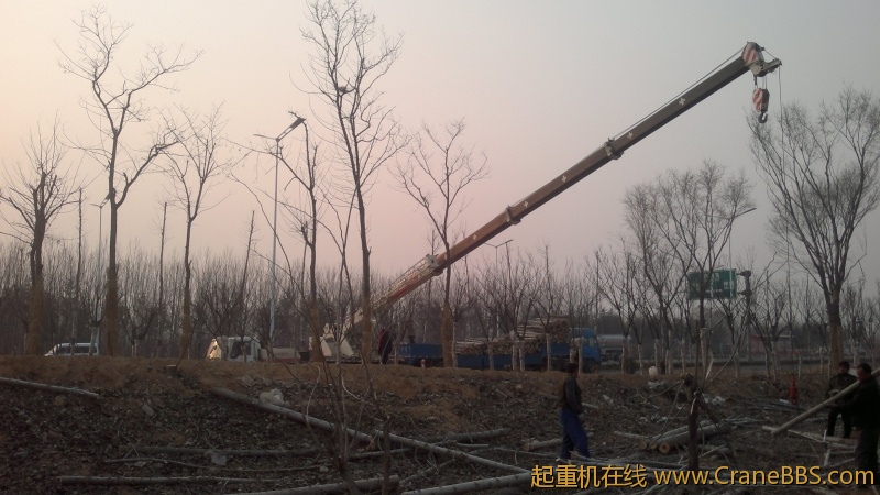 20120313085.jpg