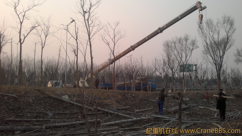 20120313086.jpg