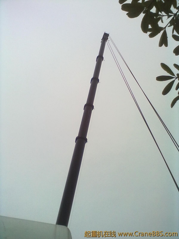 20120312629.jpg
