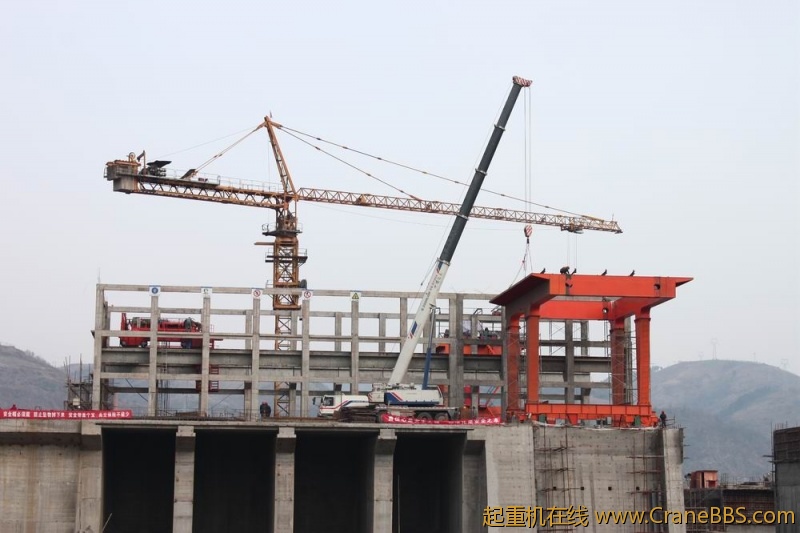 调整大小 IMG_8575.JPG