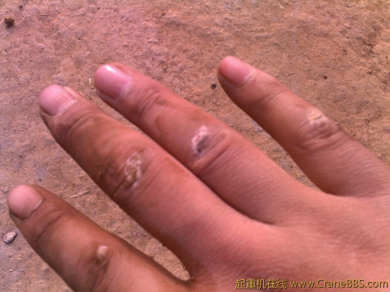 20111231165.jpg