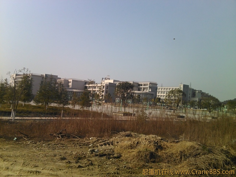IMG293.jpg