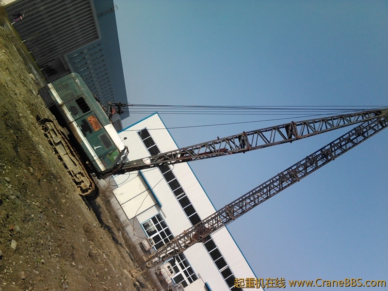 IMG290.jpg
