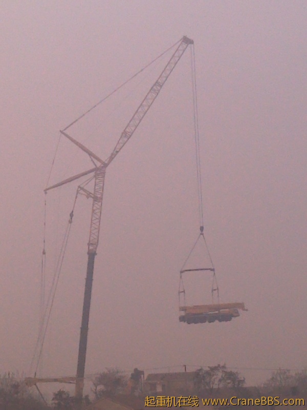 IMG_20120110_100144.jpg