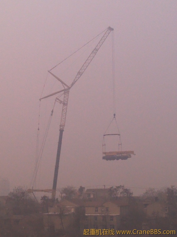 IMG_20120110_100313.jpg