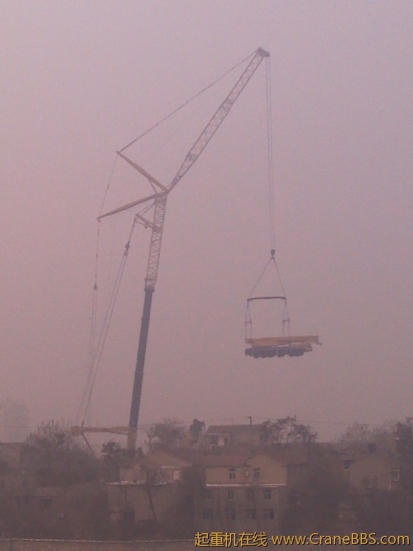 IMG_20120110_100324.jpg
