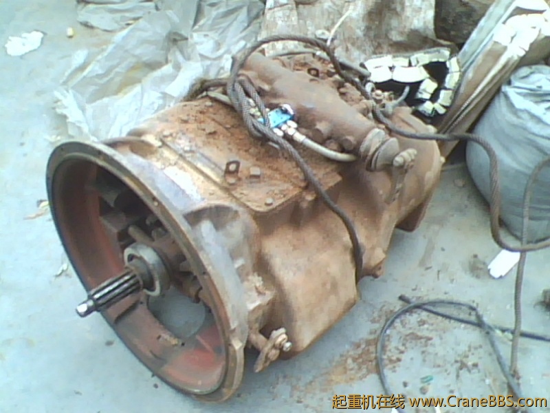 IMG0829A.jpg