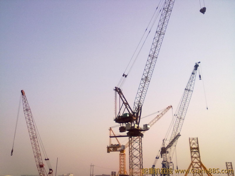 20110412716.jpg