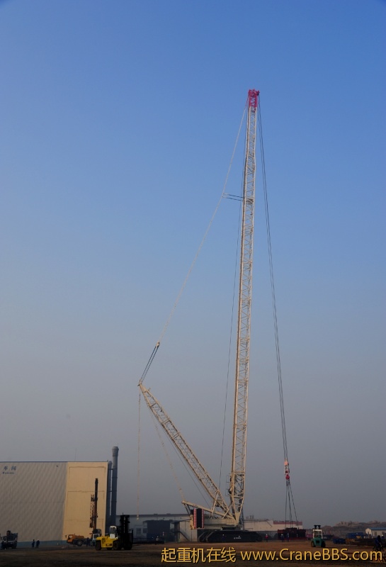 DSC_4.jpg