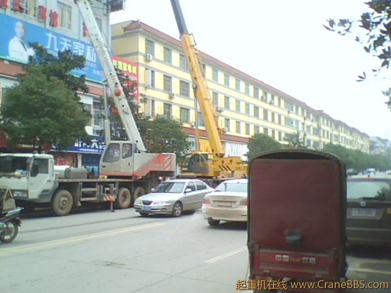 IMG1310A.jpg