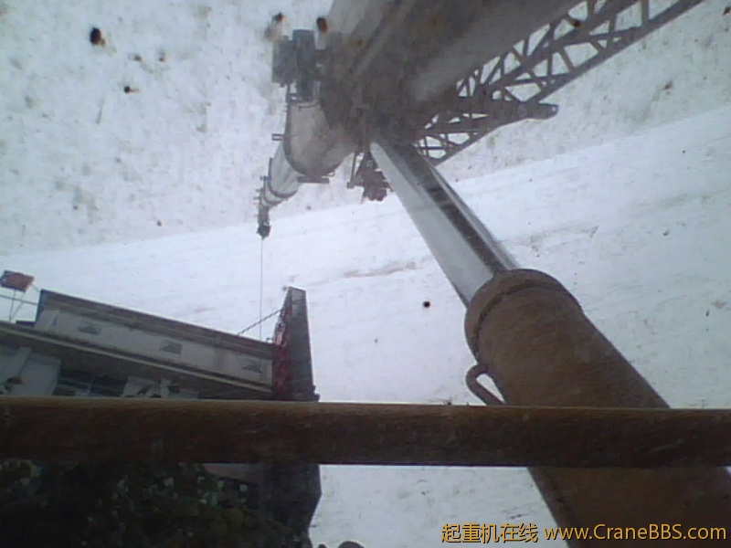 IMG1313A.jpg