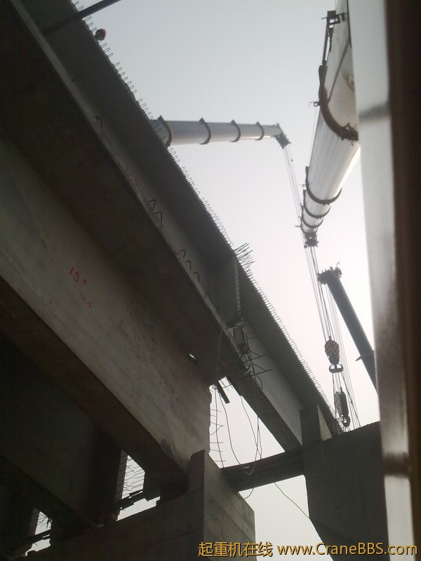 20111117390.jpg