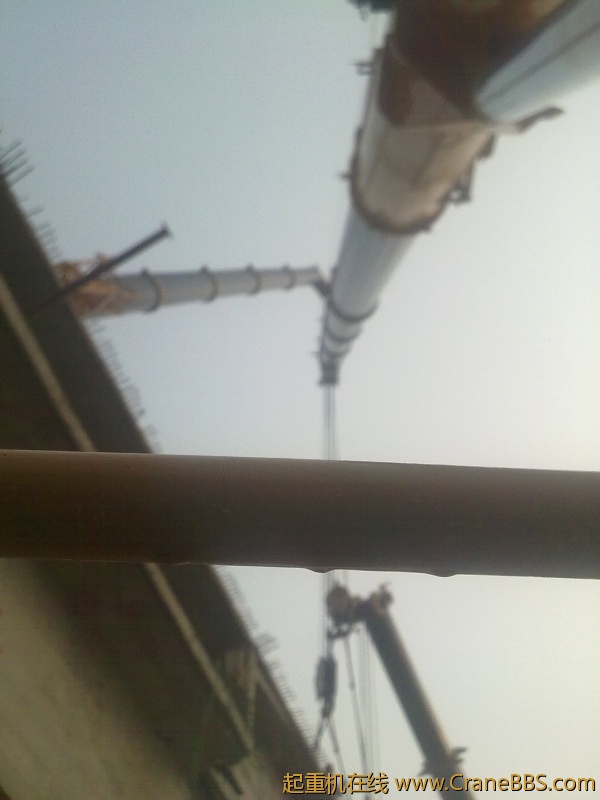 20111117393.jpg
