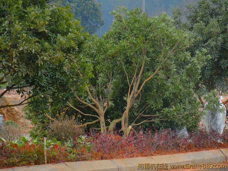 DSC02697_副本.jpg