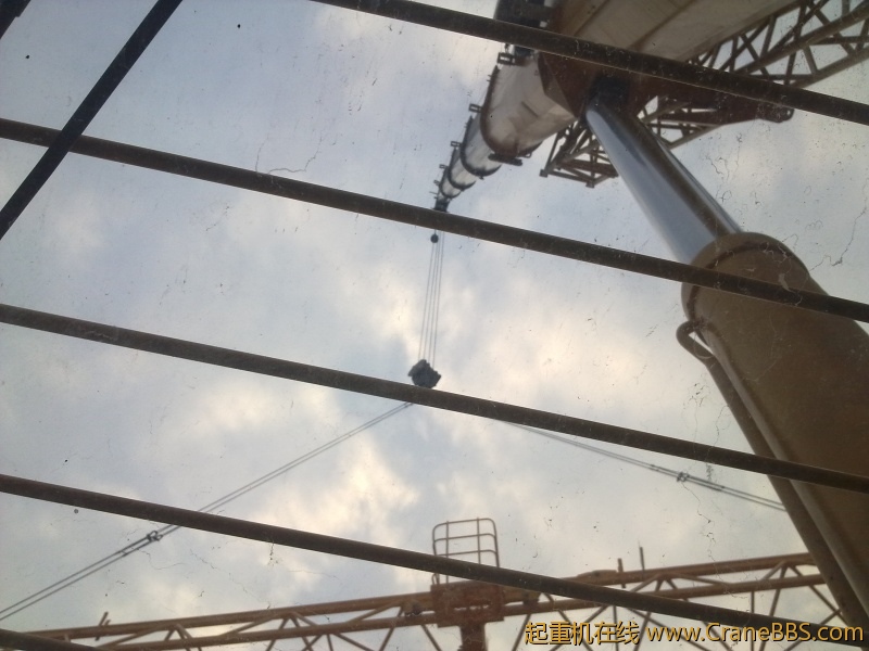 20110329080.jpg