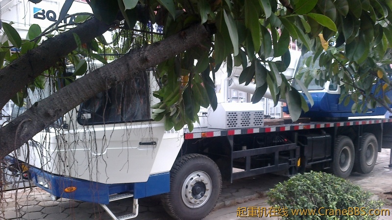 20120124032.jpg