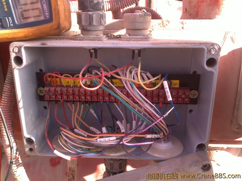 20120129130.jpg