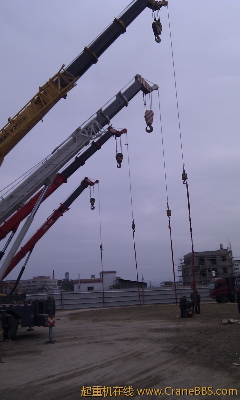IMG_20120130_110323.jpg