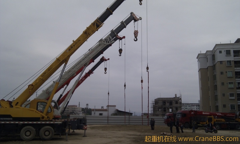 IMG_20120130_110334.jpg