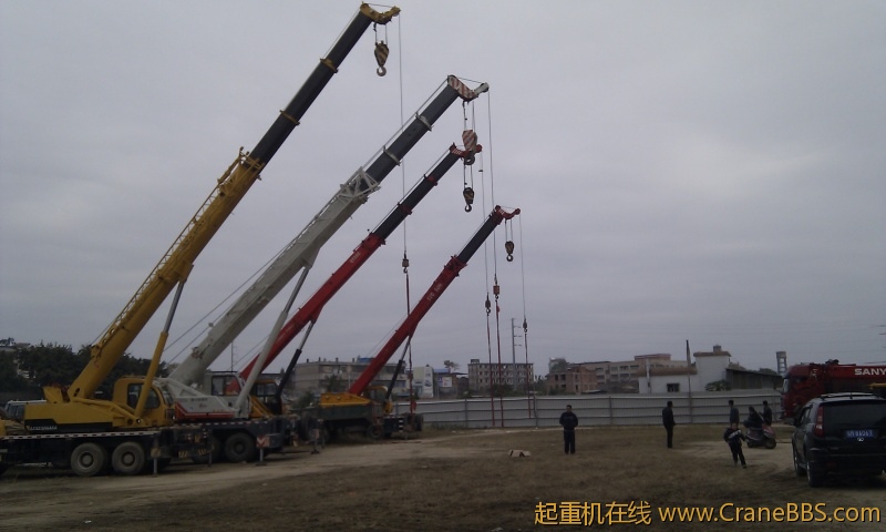 IMG_20120130_110422.jpg