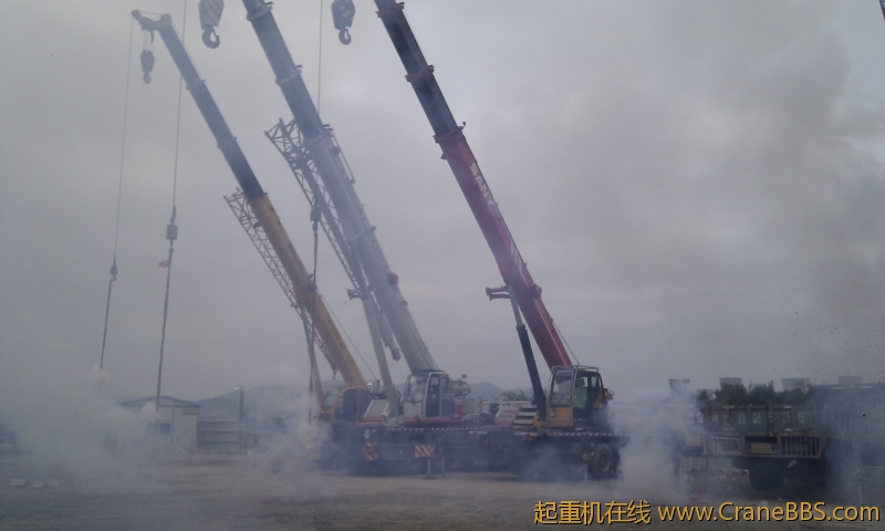 IMG_20120130_110759.jpg