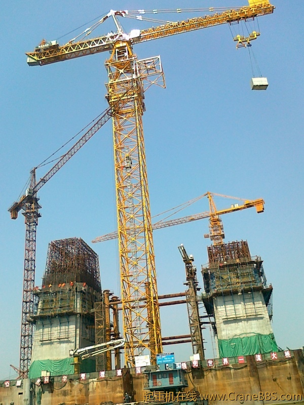 520011.jpg
