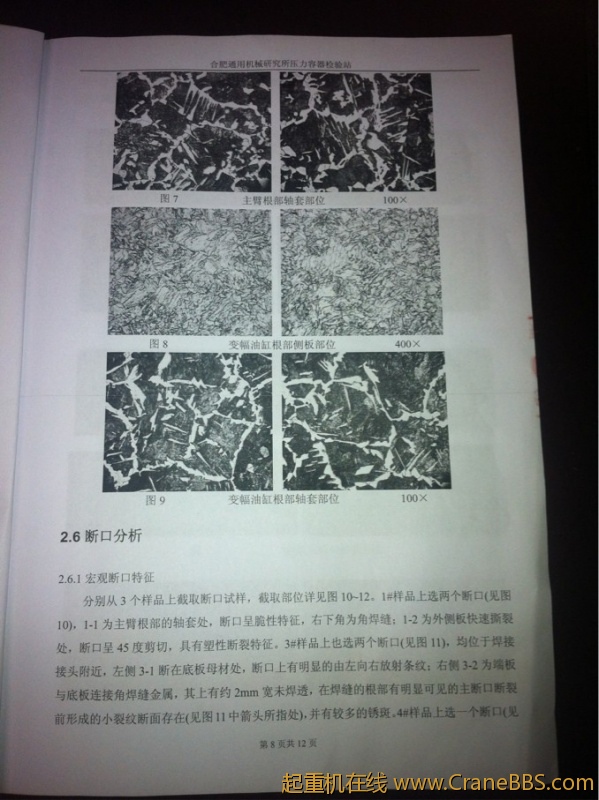未命名报告1.jpg