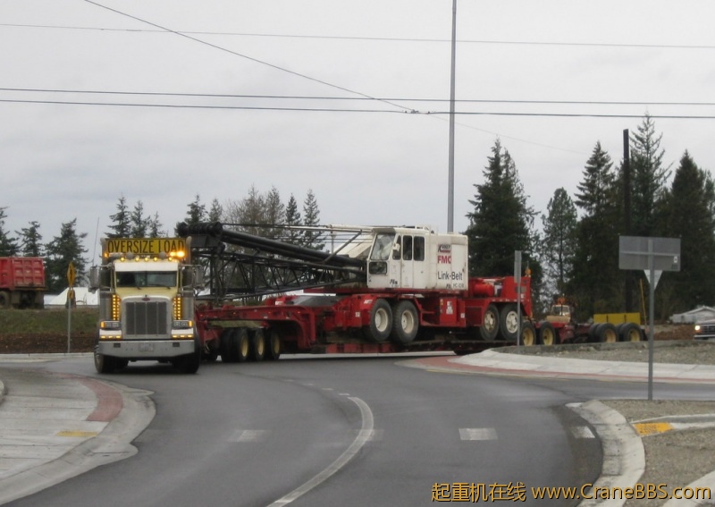 CRANE 9.jpg