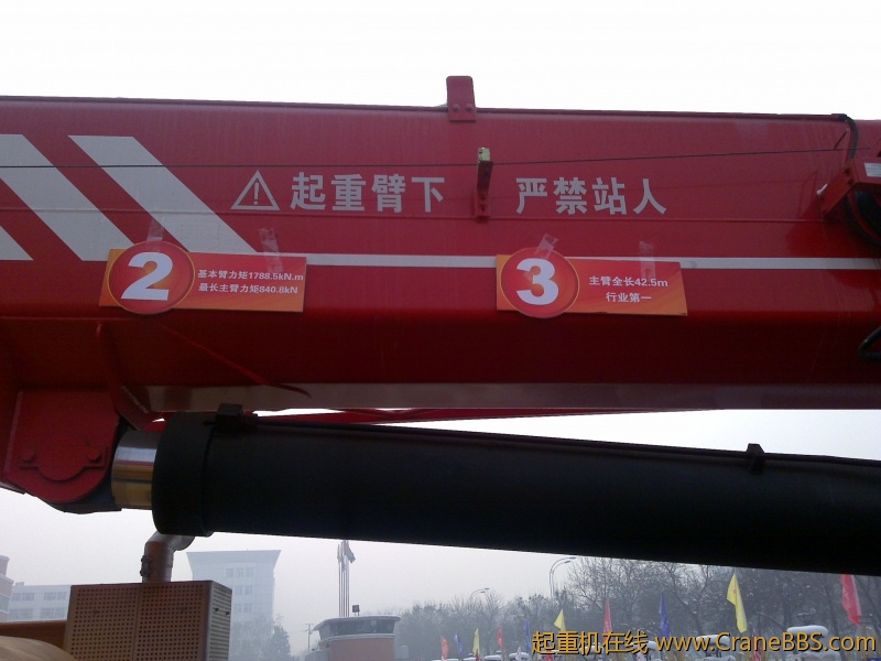 20120203381.jpg