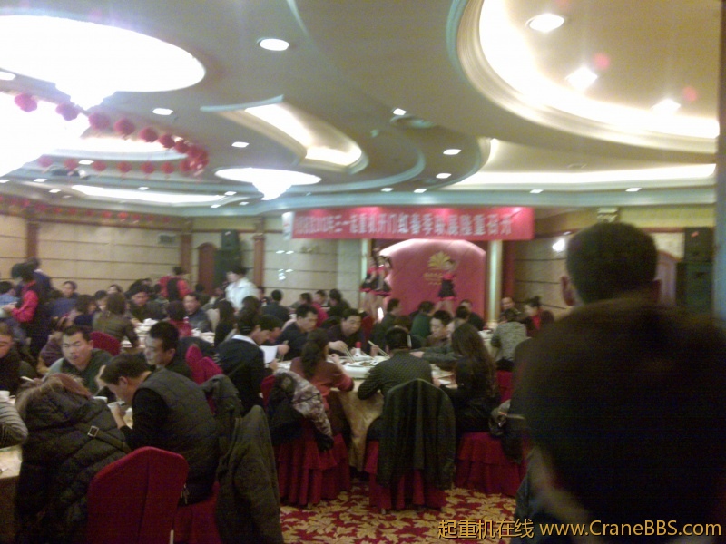 20120203391.jpg