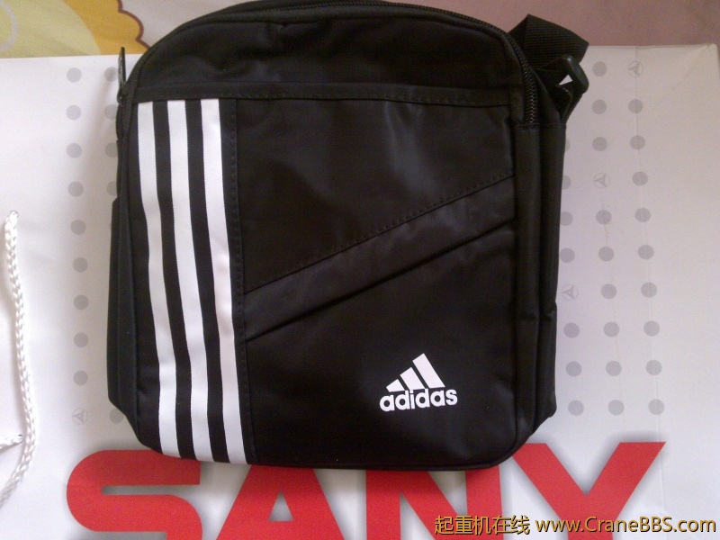 20120203393.jpg