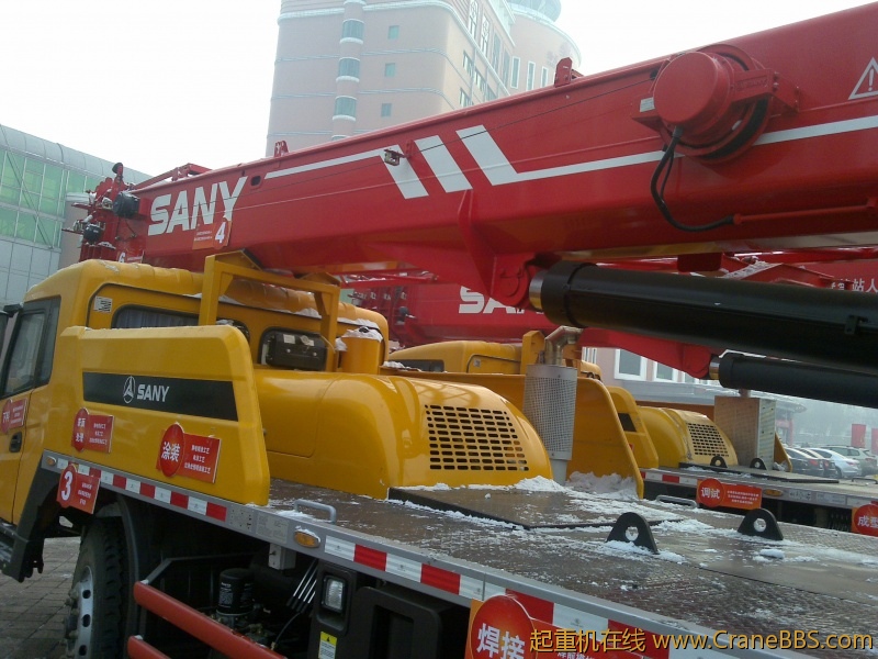 20120203384.jpg
