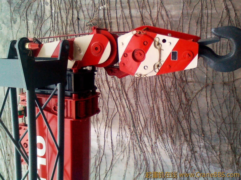 IMG_20120204_110754.jpg