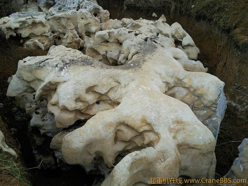 还在坑里躺着呢