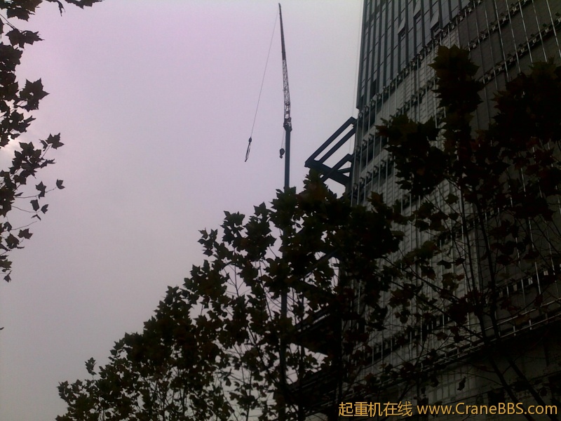 20111205003.jpg