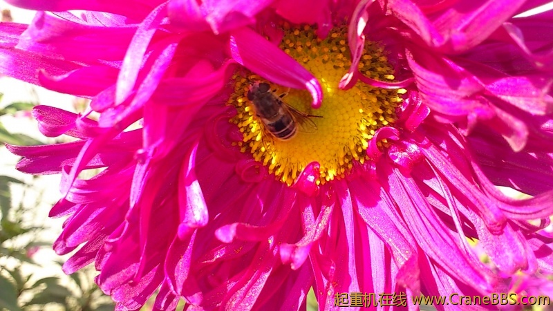 DSC_0209.jpg