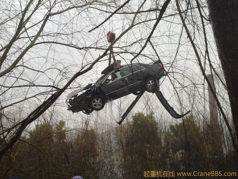 201202063005.jpg