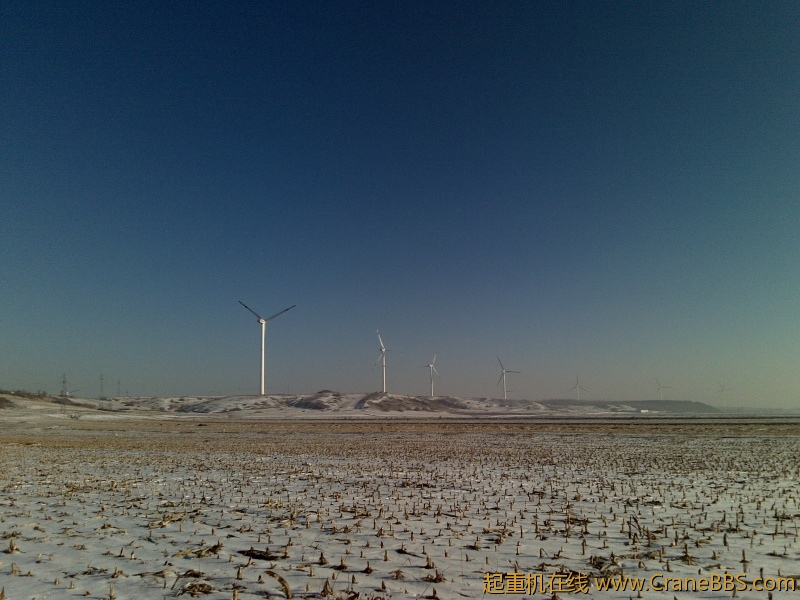 20111130116.jpg