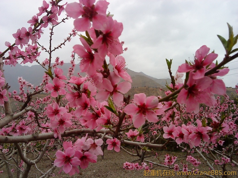 DSC00358.JPG