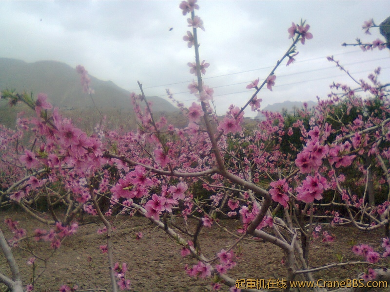 20122103.jpg
