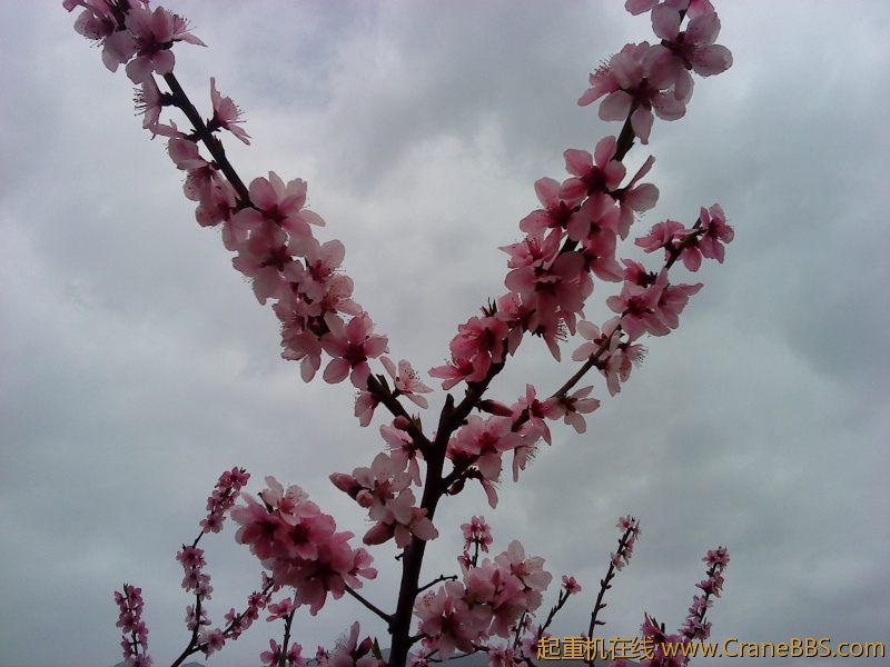 DSC00355.JPG